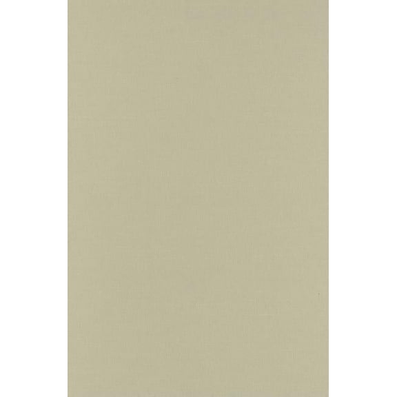 Post-Contemporary Interventions Theodor W. Adorno: An Introduction, (Hardcover)