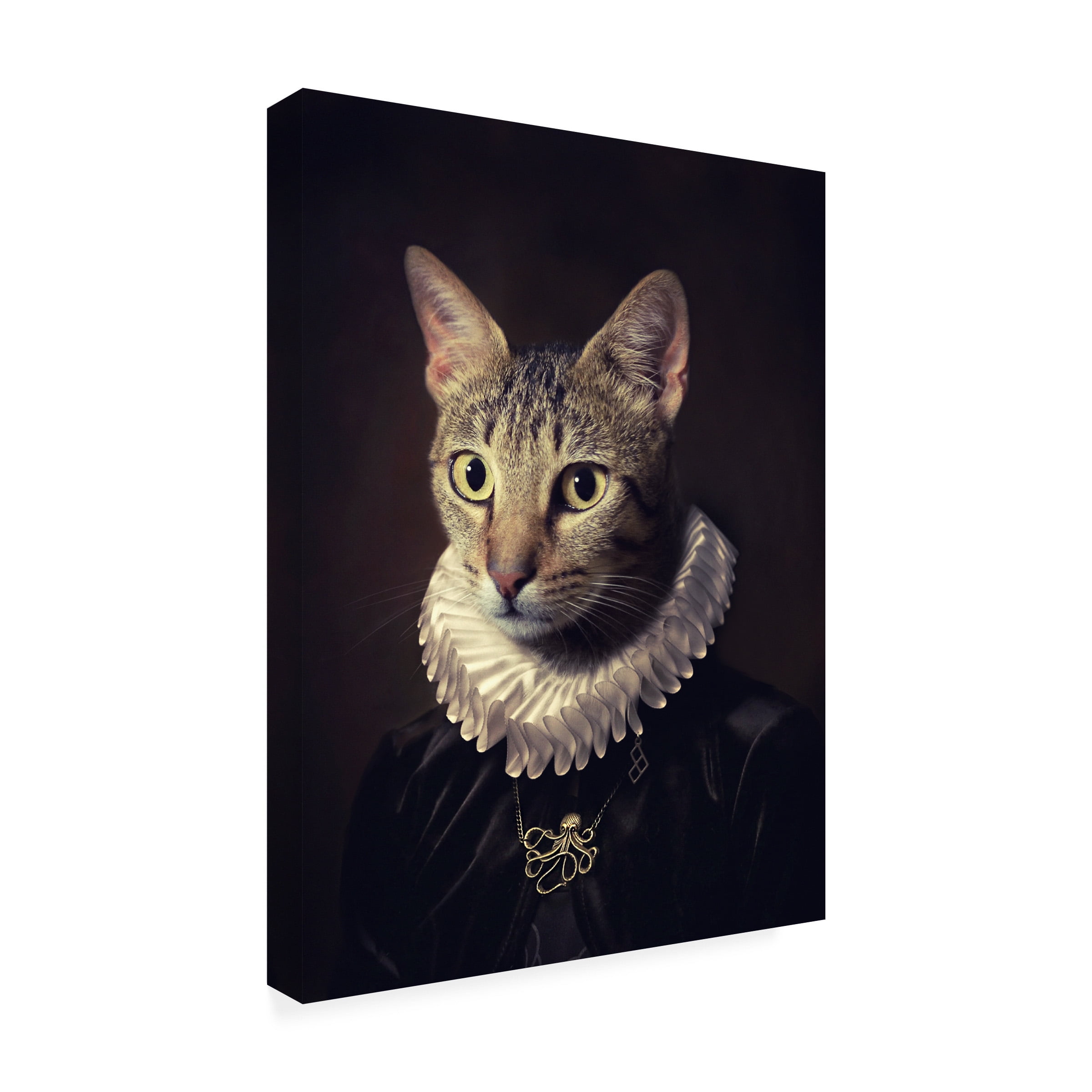 Trademark Fine Art Paulo Dias Sir Kiko Canvas Wall Art