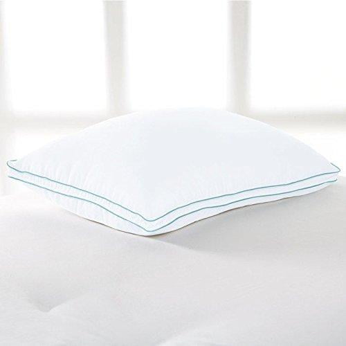 Brookstone biosense memory foam classic sale pillow with better than down