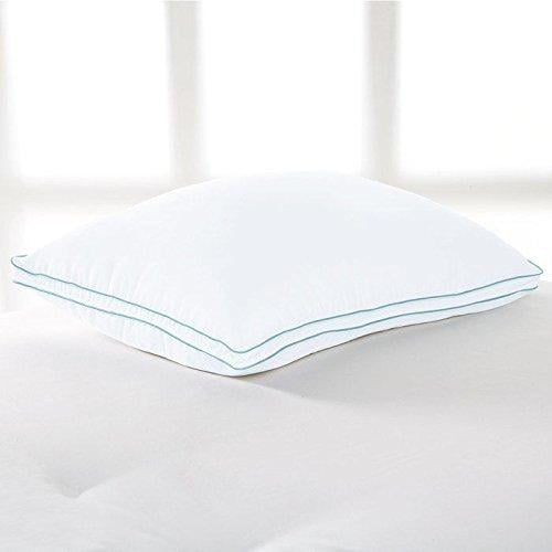 Brookstone BioSense Mousse à Mémoire Oreiller Classique avec Mieux Que vers le Bas