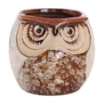 thumbnail image 5 of Cheapark Owl Ceramic Planter Succulent Flower Pot for indoor room windowsill balcony garden plant display area home gardening decor creative ceramic plant container Gift, 5 of 6