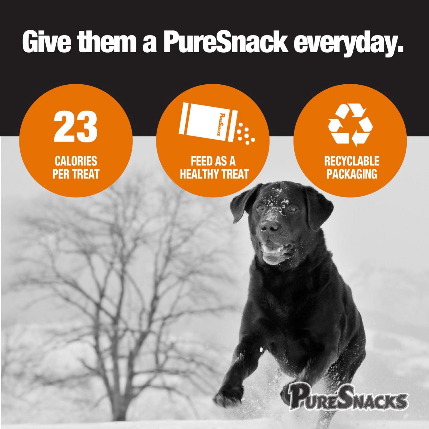 PureSnacks Duck Jerky Dog Treats