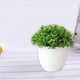 thumbnail image 3 of Wartleves Plantas de bolas artificiales, árbol en maceta, decoración para jardín, hogar, interior y oficina, 3 of 7