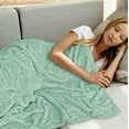 thumbnail image 5 of PAVILIA Mint Green Throw Blanket for Couch Bed, Soft Fleece Throws for Sofa Chair, Fuzzy Waffle Textured Blanket, Cozy Warm Lightweight All Season Blanket Throw, 50x60, 5 of 8