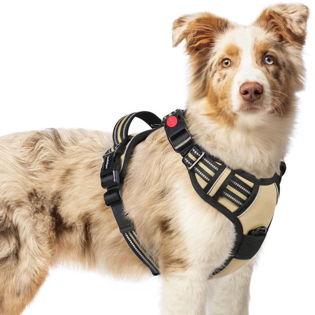 Arnés para perros Rabbitgoo, mejorado, tamaño mediano, sin tirones, beige M