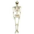 thumbnail image 2 of Northlight 5' Life Size Skeleton Indoor/Outdoor Halloween Decoration - White/Gray, 2 of 6