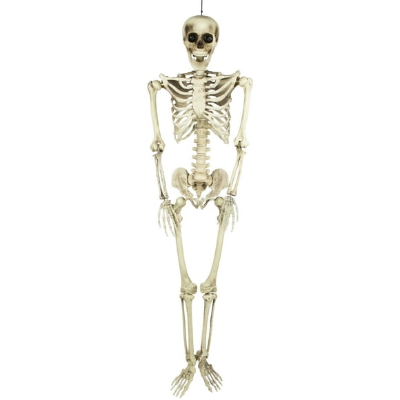 Northlight 5' Life Size Skeleton Hanging Halloween Decoration