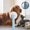 Blue, variant on Pet Hair Comb Pet Comb Supplies Depilatory Comb Pet Hair Comb Hair Pulling Comb Pet Hair Brush Special Dog Hair Needle Comb