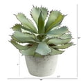 thumbnail image 2 of Nearly Natural 11in. Succulent Artificial Plant, 2 of 4
