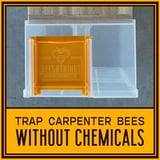Bees N Things Outdoor Carpenter Bee Trap - Walmart.com