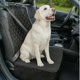 thumbnail image 1 of Funda de asiento delantero para perros PAWISE 2 en 1, impermeable con cinturón, 43 x 46 cm, 1 of 7
