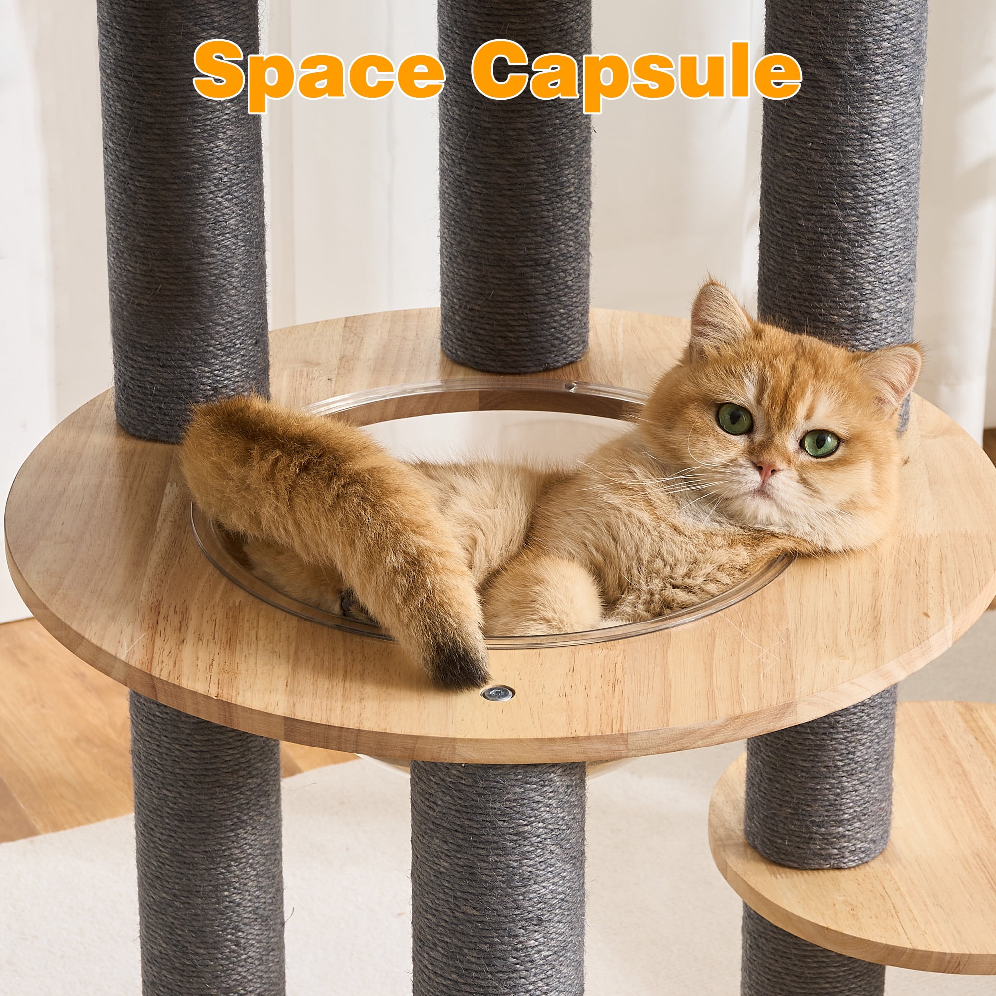 HITTITE Solid Wood Cat Tree Tower with Scratching Post, 61 Inches Tall Cat Towers with Capsule and Condo, Modern Cat Tower with Hammock and Removable Top Bed for Indoor Cats.Grey