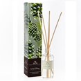 thumbnail image 1 of Soap & Paper Factory Roland Pine Diffuser, 3.65 oz., 1 of 10