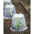 thumbnail image 5 of Large Garden Cloches Set of 3, 5 of 6
