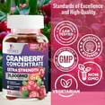 thumbnail image 4 of Cranberry Gummies 500mg - 50:1 Cranberry Extract, Urinary Tract Support Made with 25,000mg, Helps Cleanse & Protect, Cran Berry Gummy Supplement + Vitamin C, Chewable Cran for Women - 120 Gummies, 4 of 10
