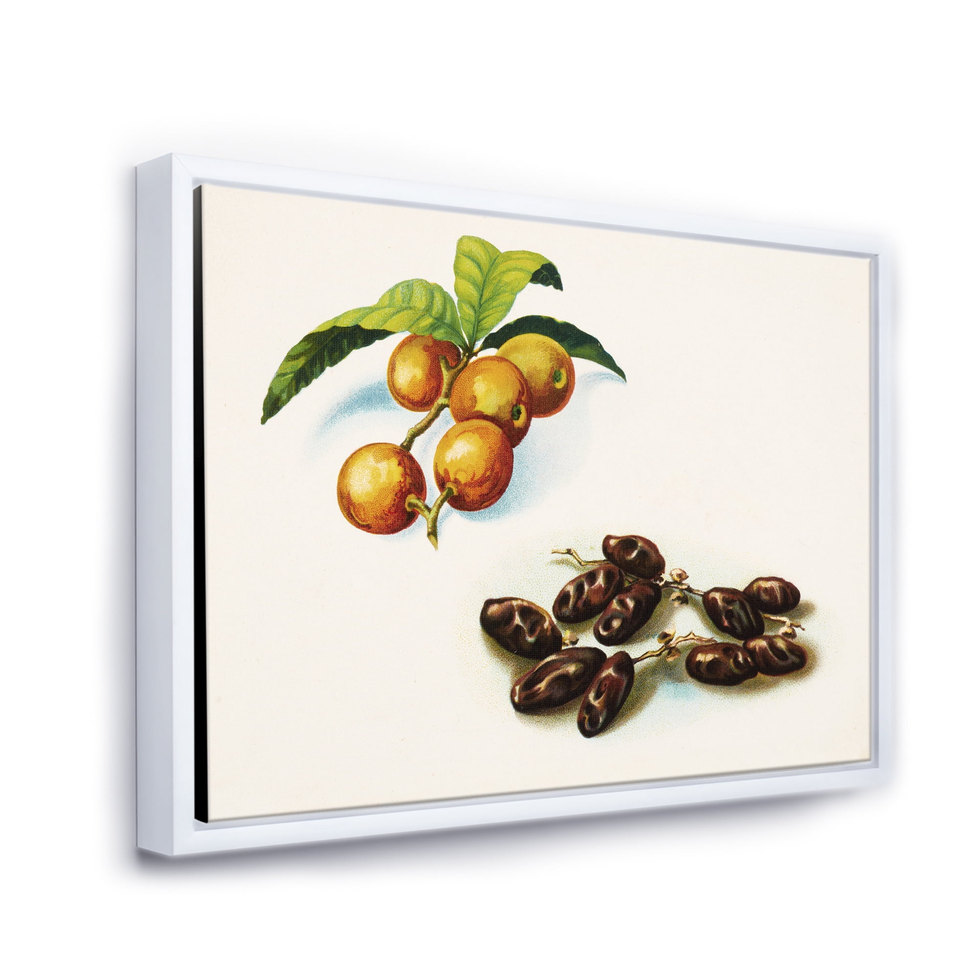 Designart 'Ancient Fruits IV' Farmhouse Framed Canvas Wall Art Print
