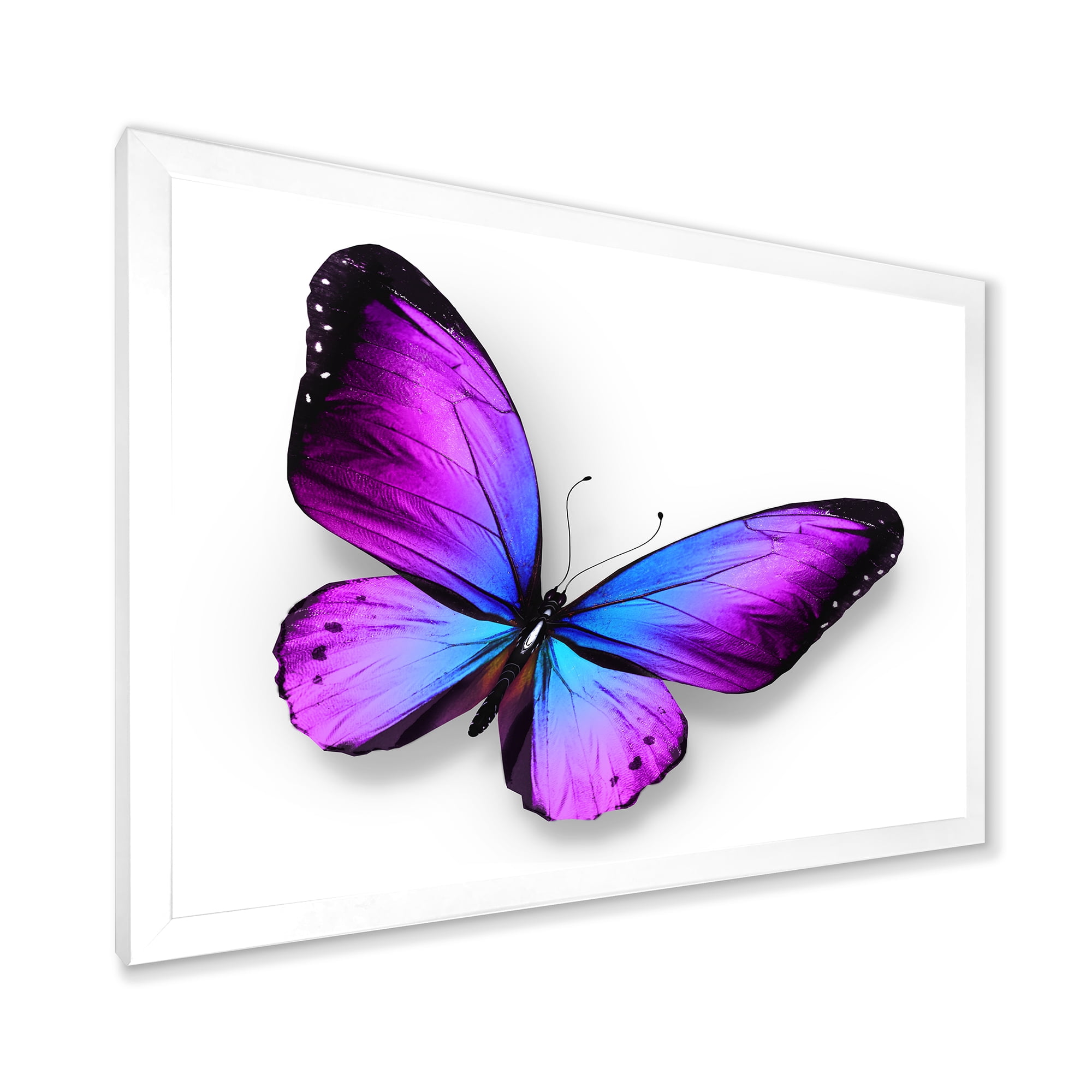 Designart 'Blue and Violet Butterfly' Modern Framed Art Print