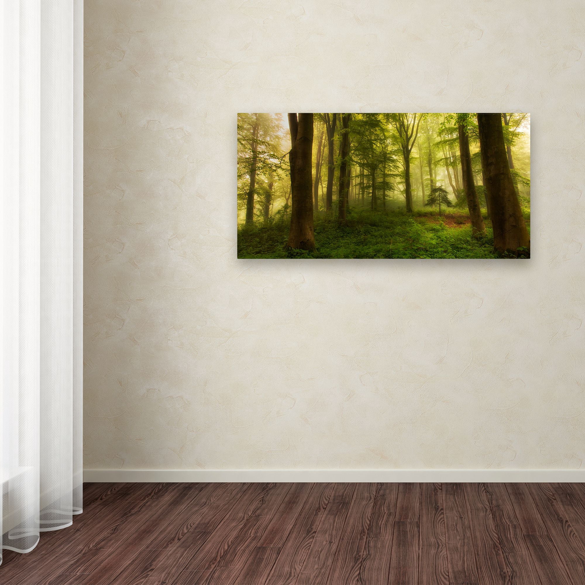 Trademark Fine Art 'The Little Tree' Canvas Art by Leif Londal