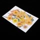 thumbnail image 2 of Tarjetas de felicitación colgantes con flores secas prensadas mixtas para álbumes de recortes, decoración DIY y decoración. naranja, 2 of 5