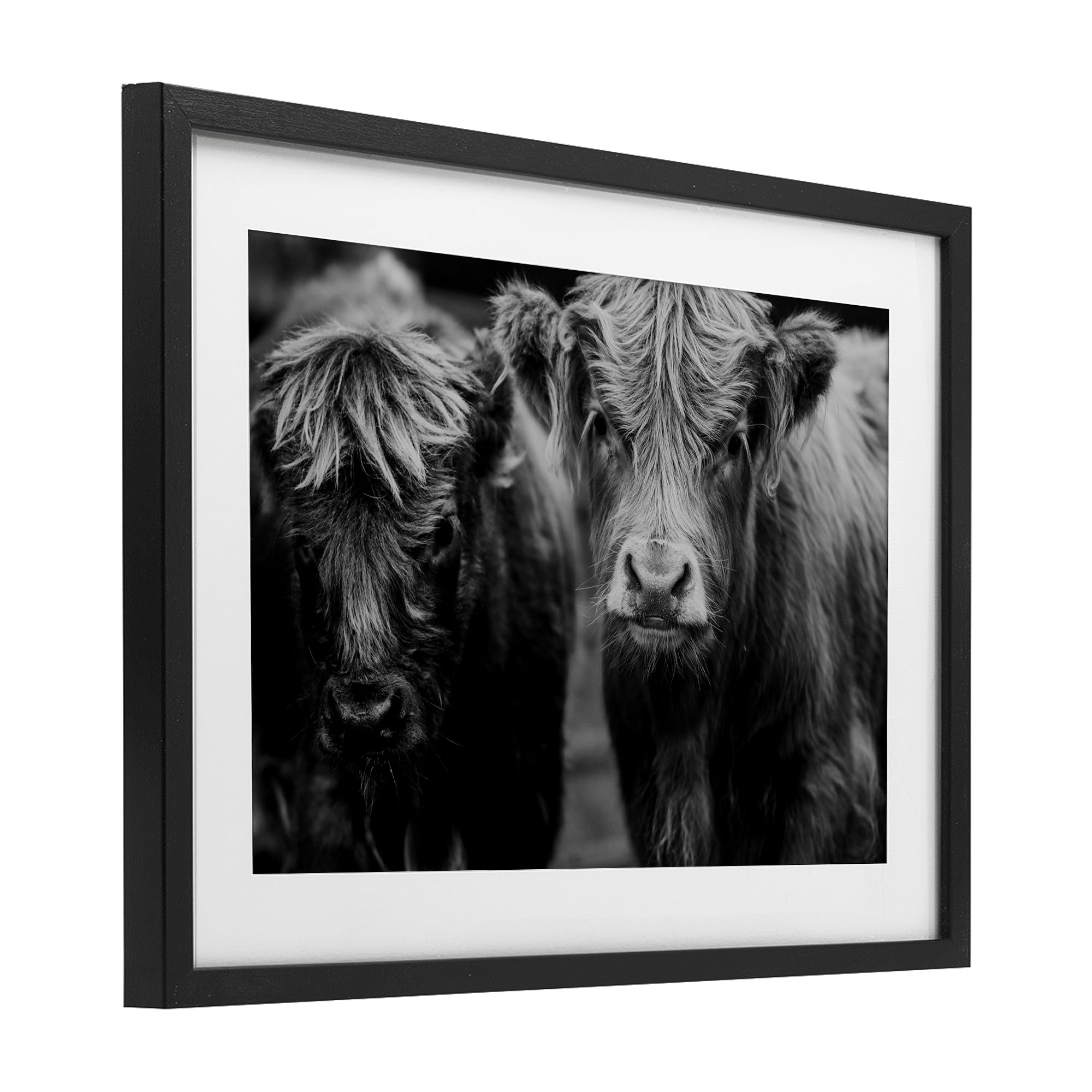 Cow Faces on Farm Black Framed Print Under Glass, design by Amy Carroll