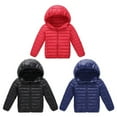 thumbnail image 3 of Kids Boy Girl OutWear Coat Winter Warm Hooded Puffer Lightweight Water-Resistant Packable Puffer Jacket Coat, 3 of 9