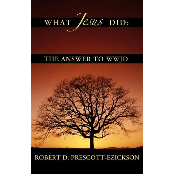 What Jesus Did (Paperback)
