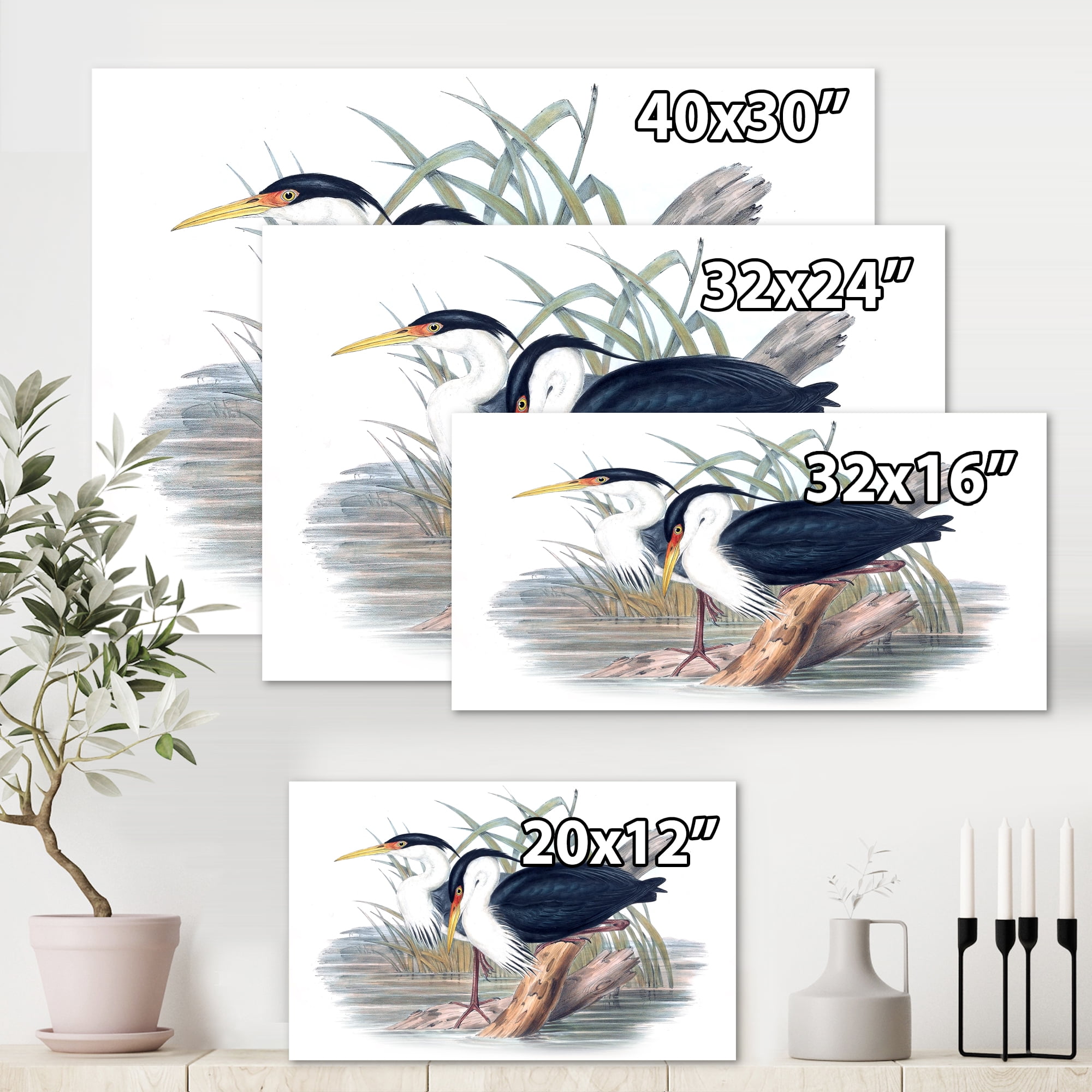 Designart ' Ancient Bird Life II ' Traditional Canvas Wall Art Print