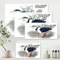 thumbnail image 4 of Designart ' Ancient Bird Life II ' Traditional Canvas Wall Art Print, 4 of 4