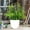 B, variant on 1 Pack Artificial Plants,Plastic Fake Plants Green Indoor Faux Green Grass Potted Plants Decorative Plant for House Office Outdoor Balcony Desk Bathroom Decoration