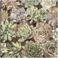 thumbnail image 1 of Cuadro Decorativo - jardín del desierto Jr  Impresión en canvas, estrechado, 1 of 2