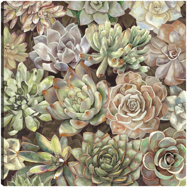 Cuadro Decorativo - jardín del desierto Jr Impresión en canvas, estrechado