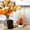 White#0, variant on Halloween Pumpkin Decorations-3-Pack Plastic Simulated Pumpkins with Leaves & Berries Fall Thanksgiving Table Centerpiece Home & Living Room Decor (Orange White,4-6.7 Inches)