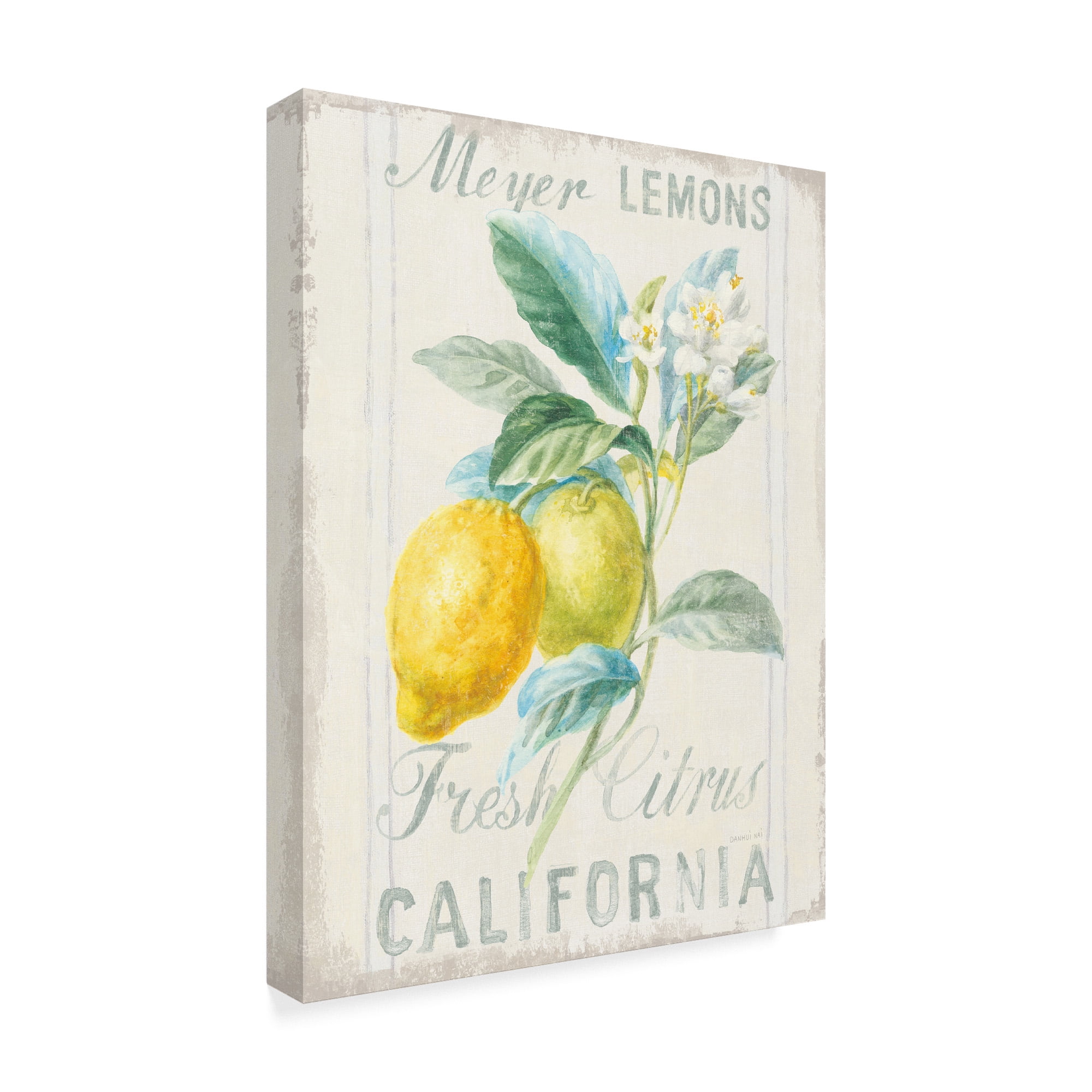 Trademark Fine Art 'Floursack Lemon II' Canvas Art by Danhui Nai