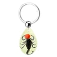 thumbnail image 1 of Llavero de insectos brillantes, llavero de especímenes de animales, regalo coleccionable de resina para amigos y familiares, 1 of 5