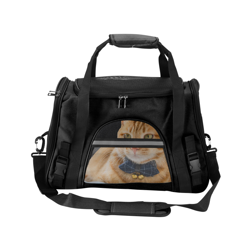 fancy cat carrier