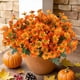 thumbnail image 1 of Ramo artificial de manzanilla | Arreglo floral de alta gama de estilo europeo | Colores otoñales: rosa, rojo, blanco, amarillo, naranja | Decoración de la ceremonia de 35 cm | Pétalos de seda, 1 of 6