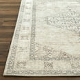 thumbnail image 5 of Livabliss x Becki Owens Lila Vintage Medallion Area Rug,2'2" x 3'9",Brown, 5 of 11