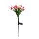 thumbnail image 1 of Luces LED solares de flores silvestres, luces coloridas para decoración de jardín al aire libre, luces solares de jardín, linternas de simulación de Villa (rosa JM, 1 of 5