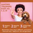 thumbnail image 4 of ¡Spray atrayente para perros OUT! Entrena para ir al baño con 960 ml, 4 of 7