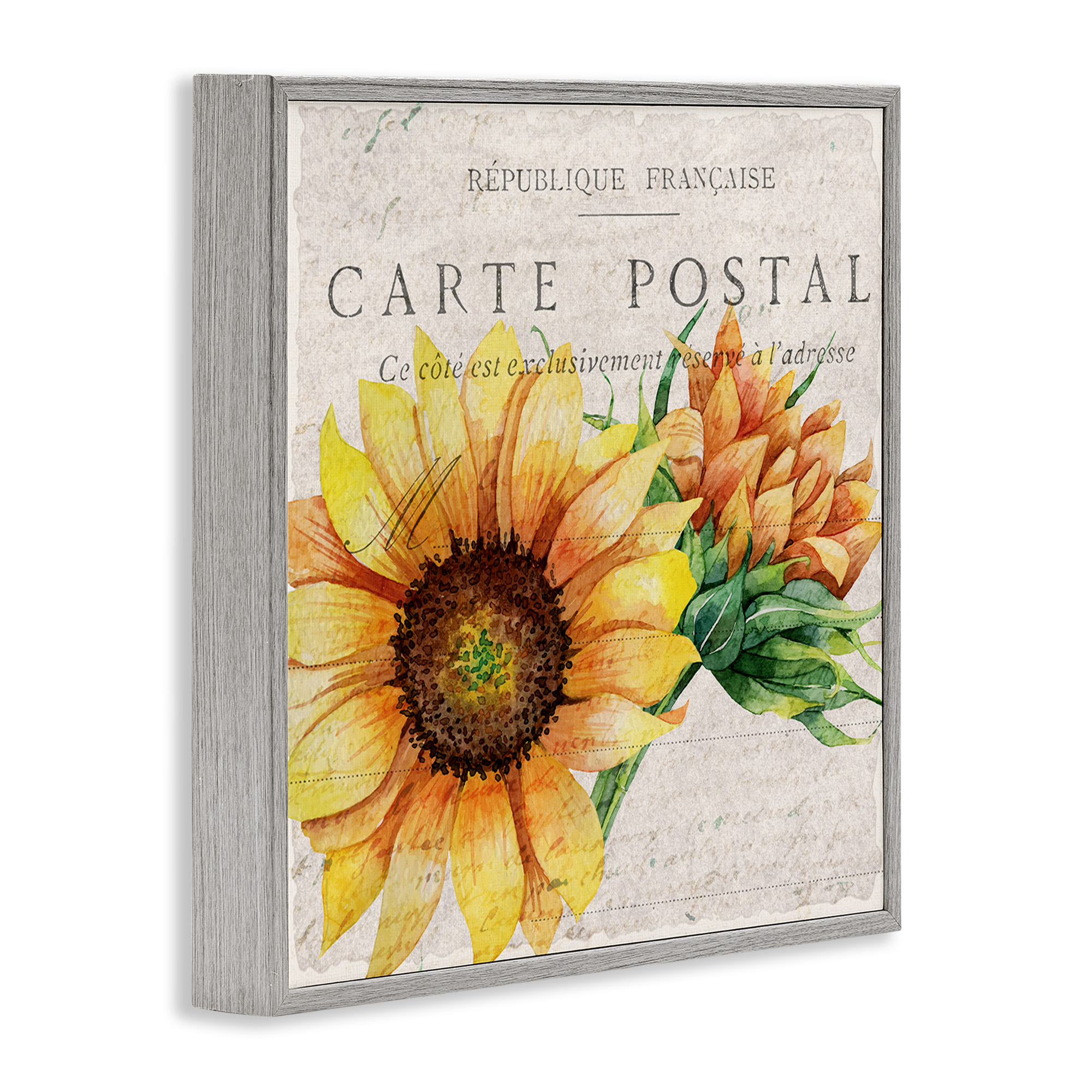 Stupell Industries Vintage French Sunflower Postcard Botanical & Floral Painting Gray Framed Art Print Wall Art, 12 x 12