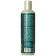 thumbnail image 2 of Jason Normalizing Tea Tree Shampoo, 2 of 5