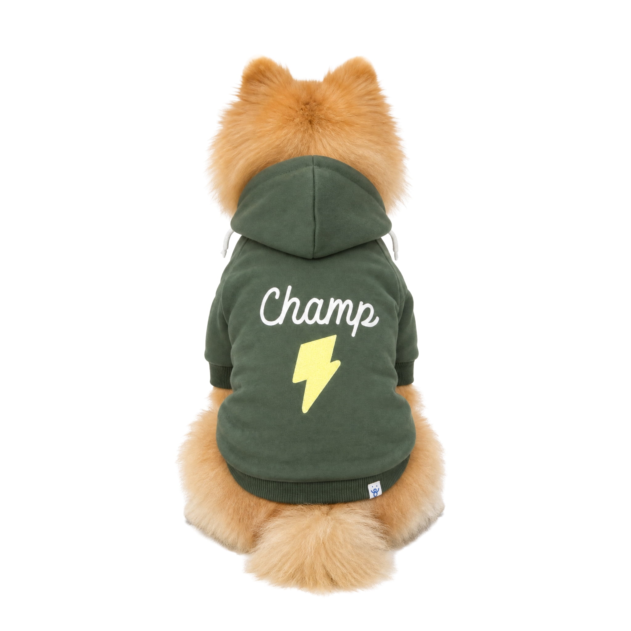 Oodles Champ Fall Lightning Bolt Dog Hoodie, Green, Small