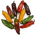 thumbnail image 2 of 10pcs Fake Chili Pepper Artificial Vegetables Vivid Mixed Colors Artificial Hot Peppers for Home Kitchen Fruit Shop Supermarket Desk Decorations Or Props, 2 of 3