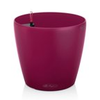 Lechuza Classico Self-Watering Polypropylene Indoor/Outdoor Planter