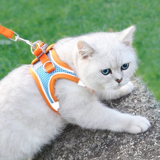 Arnés de pecho para perros y gatos, correa reflectante para perros pequeños y medianos, tipo chaleco, correa para mascotas (M, naranja), 1 Uds.