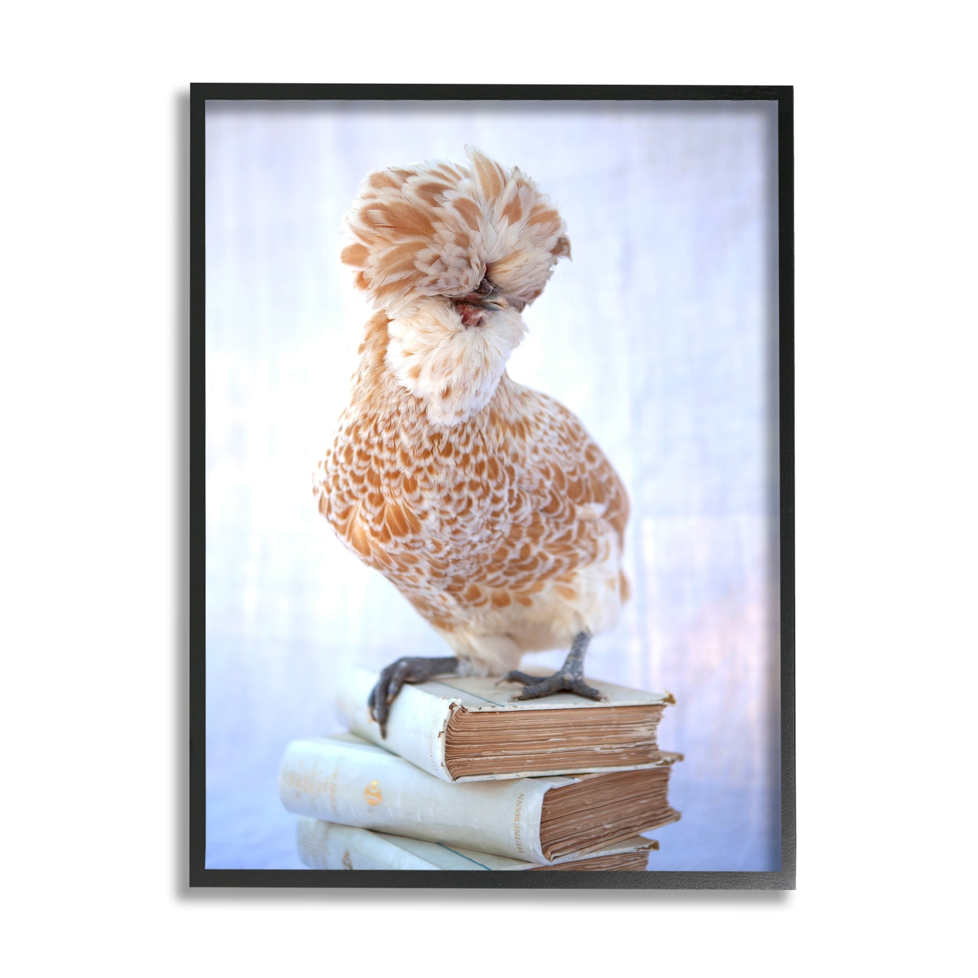 Tania Soderman Polish Bouffant Crest Bird Elegant Intellectual Bookstack 16" x 20" Framed Photography Art Print, by Stupell Home Décor