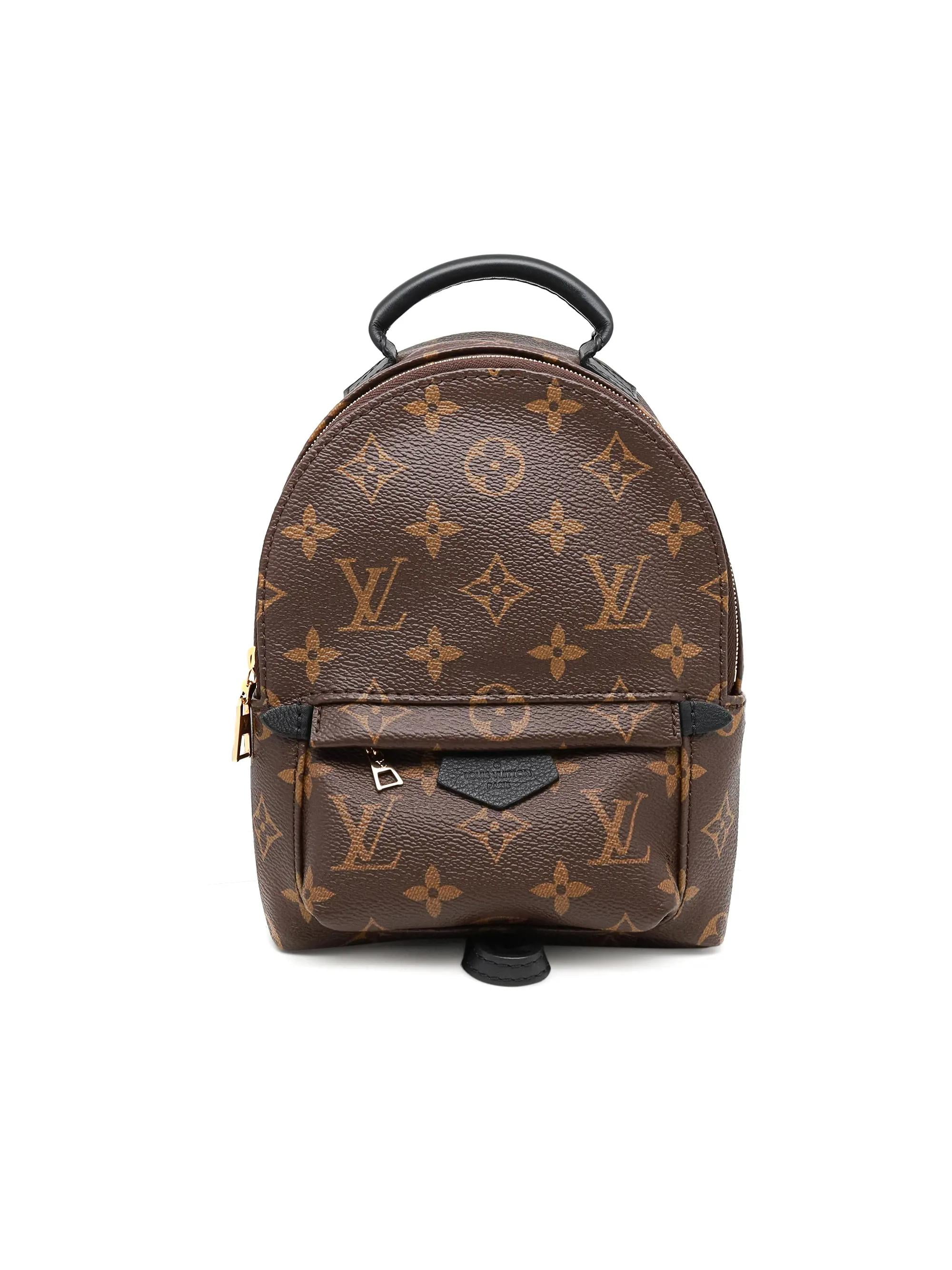 Palm springs cloth backpack Louis Vuitton Brown in Cloth - 24970109