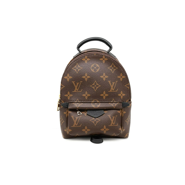 Louis Vuitton Monogram Palm Springs Brown Mini Backpack 