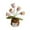 Pink, variant on Toy Positive Flower Pot with Inspirational Cards and Positive Messages for Indoor and Outdoor All Ages,4.33 inx2.36 in,White