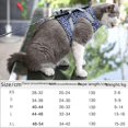 thumbnail image 2 of Chaleco de cuerda de tracción para gatos, estilo anti-rotura, correa de pecho saliente especial para gatos, artefacto para caminar para gatos, perno, cuerda para gatos, cadena para gatitos., 2 of 4